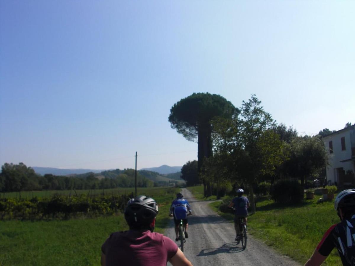 Podere Ripi Volterra Exterior foto