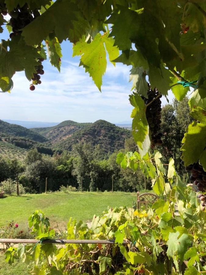 Podere Ripi Volterra Exterior foto